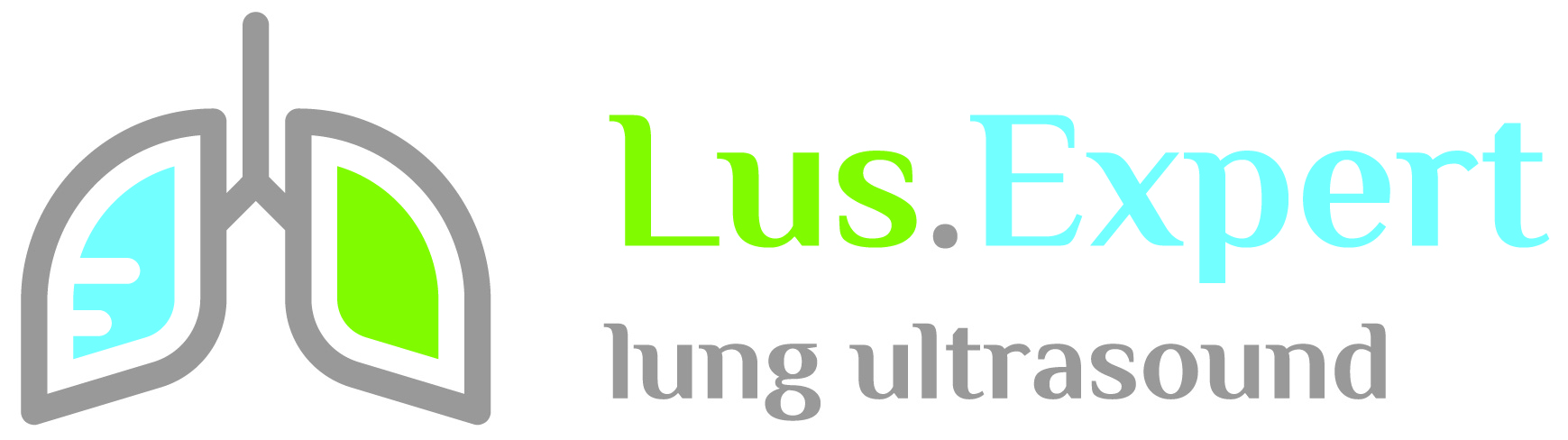 MATERIAŁY SPONSORÓW KONFERENCJI "Lung Ultrasound" czerwiec 2021